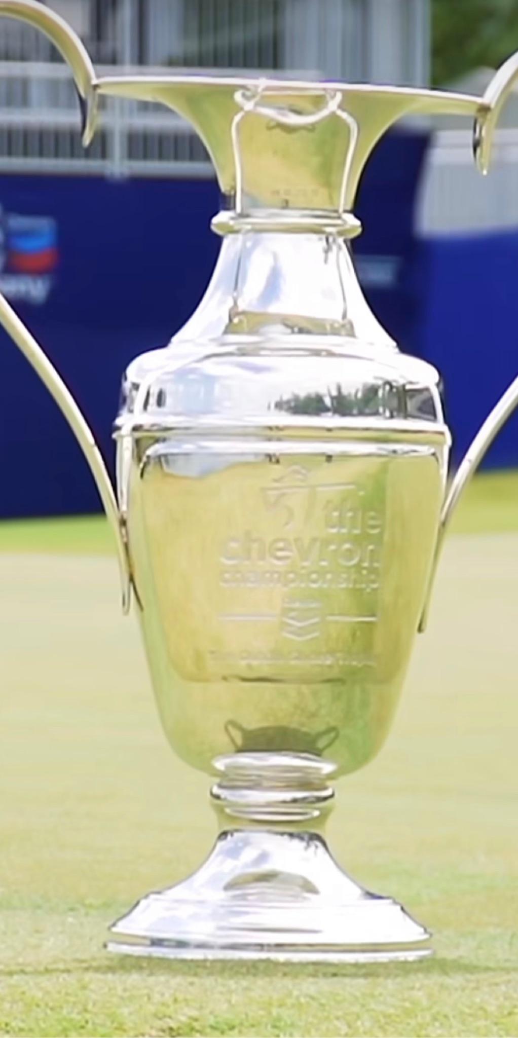 profile-main-image