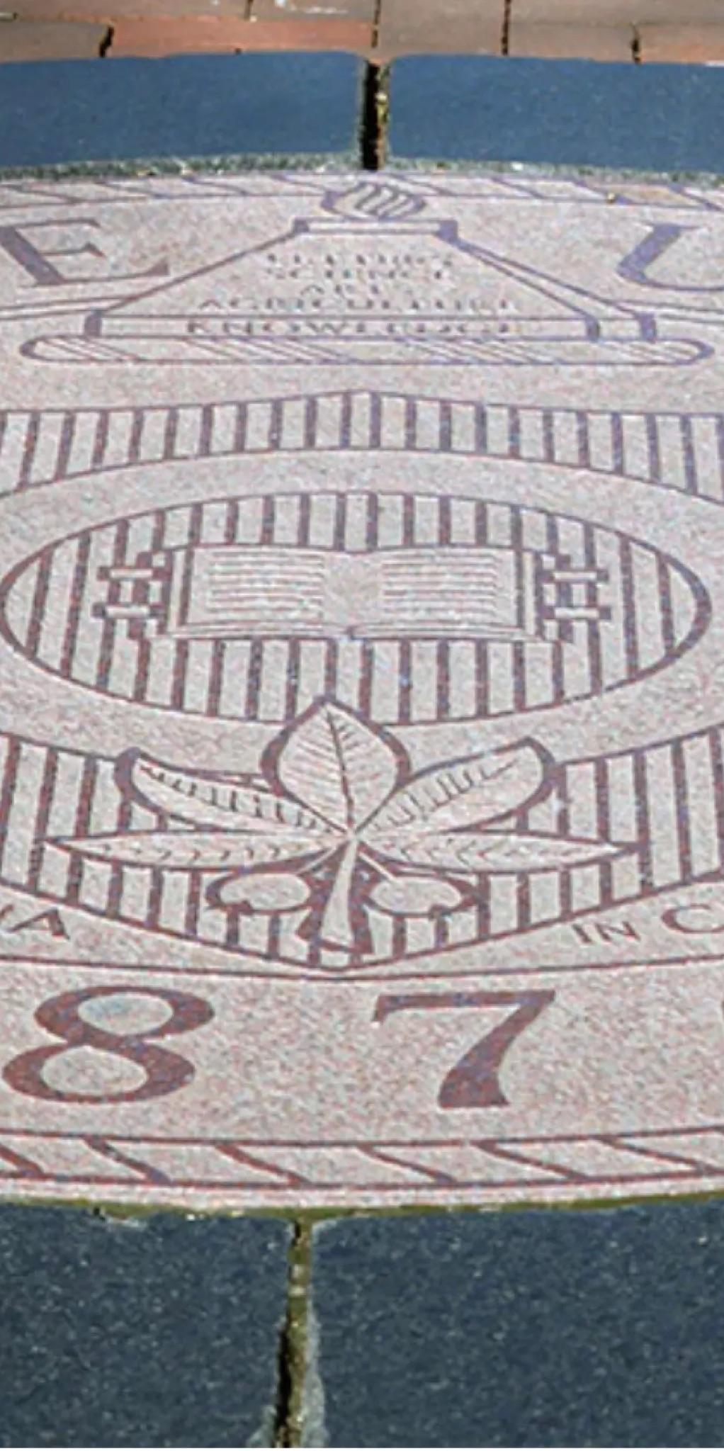 profile-main-image